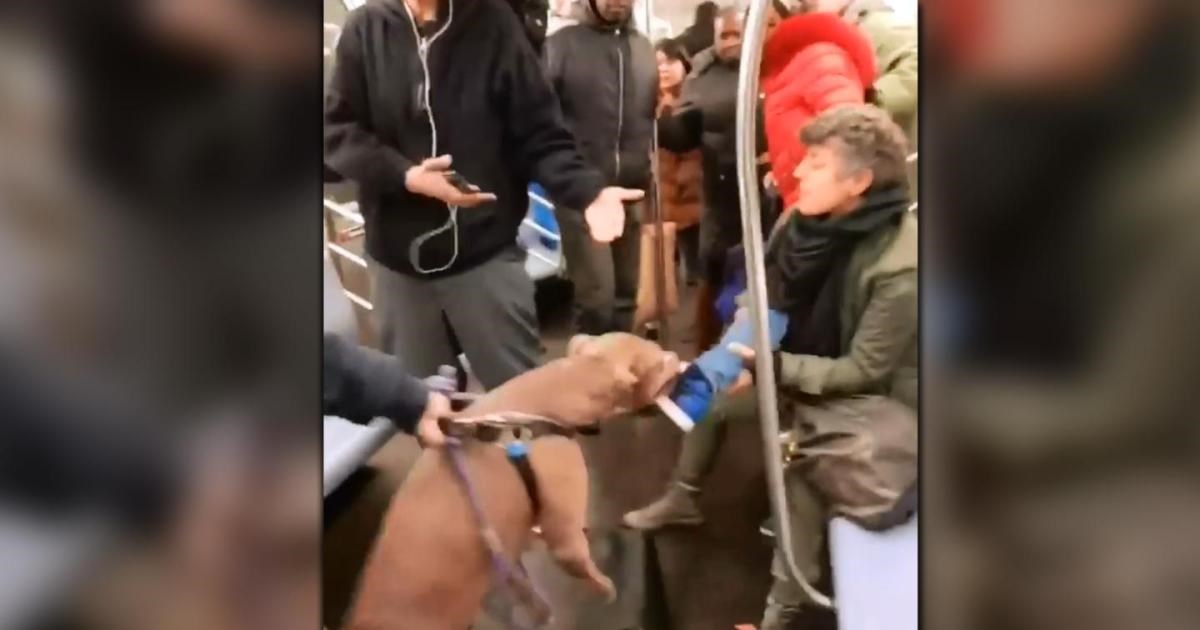 Σοκ: Πίτμπουλ επιτίθεται με μανία σε επιβάτη του μετρό – ΒΙΝΤΕΟ