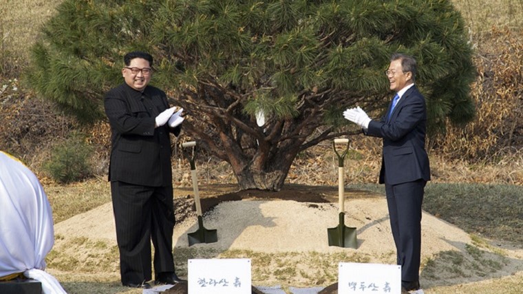 Κιμ και Μουν φύτεψαν το δέντρο της ειρήνης – ΒΙΝΤΕΟ