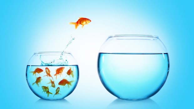 Άλλαξε καριέρα τώρα – Κάνε το τεστ και μάθε ποιο επάγγελμα σου ταιριάζει