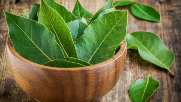 Ζέστη και κατσαρίδες – Τρεις φυσικοί τρόποι για να τις εξαφανίσετε από το σπίτι σας