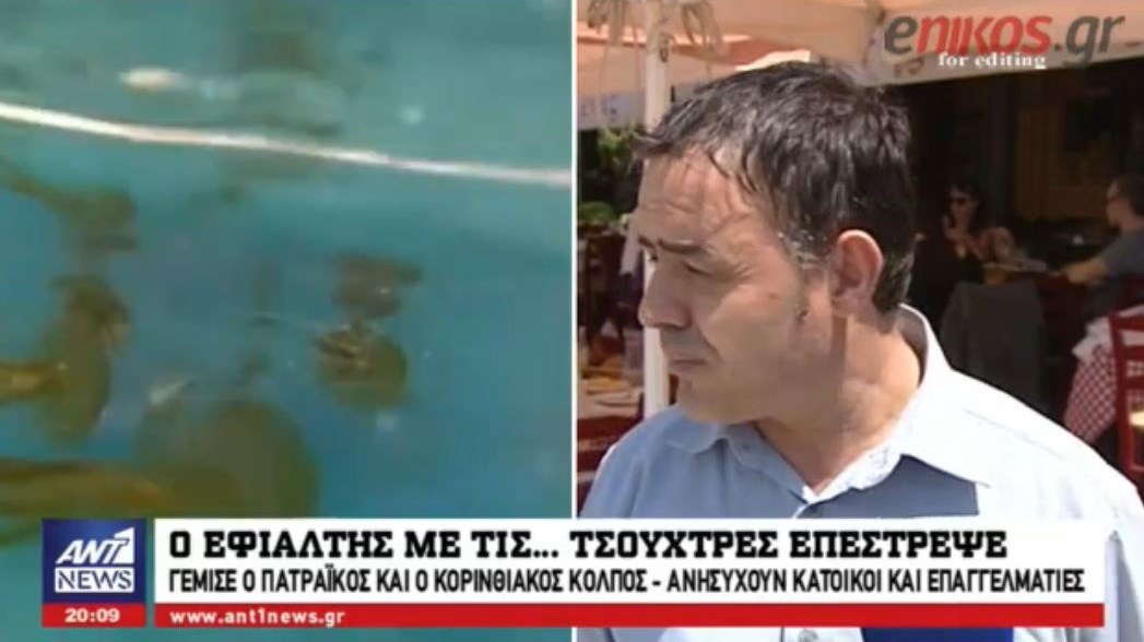 Ο εφιάλτης με τις τσούχτρες… επέστρεψε – Ανεξήγητο φαινόμενο;