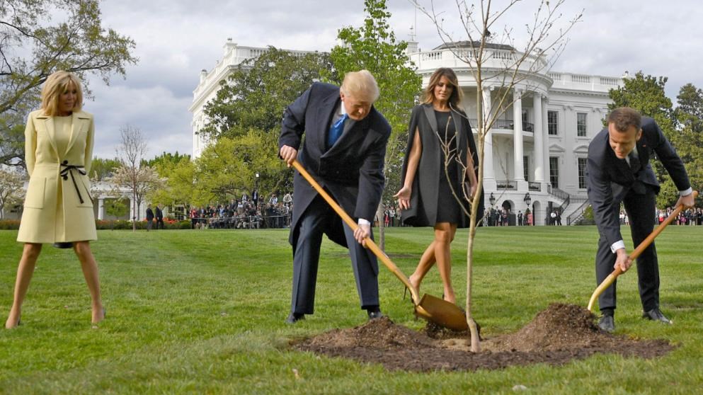 Δεν υπάρχει…O Τραμπ “ξερίζωσε” την βελανιδιά που φύτεψε με τον Μακρόν – ΦΩΤΟ