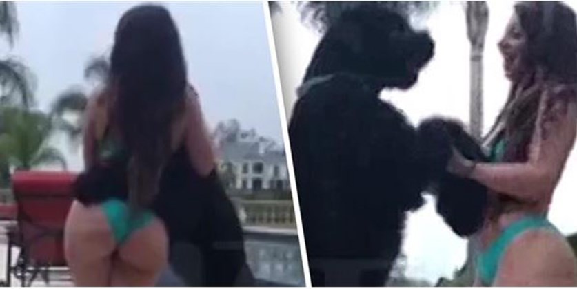 Γνωστό μοντέλο κατηγορείται για… σεξουαλική διέγερση σκύλου – ΦΩΤΟ