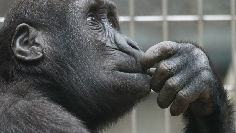 Τεστ γνώσεων για… λίγους – Απάντησε σε 10 δύσκολες ερωτήσεις