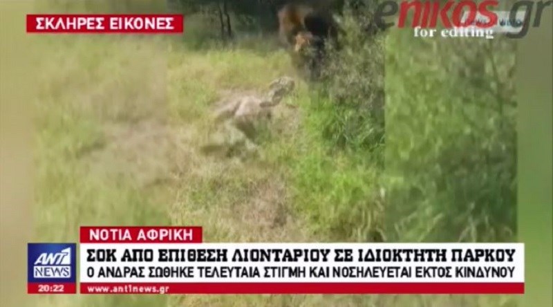 Ανατριχιαστικό: Λιοντάρι επιτίθεται στον ιδιοκτήτη του πάρκου – ΒΙΝΤΕΟ