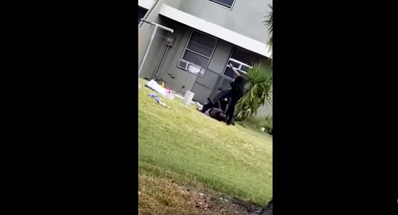 Αστυνομικός κλωτσάει στο κεφάλι ακινητοποιημένο κλέφτη – ΒΙΝΤΕΟ