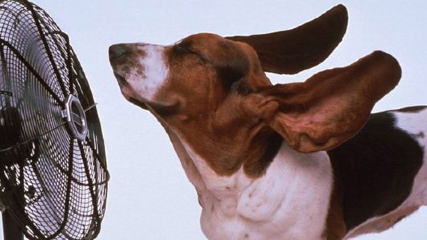 Το απλό κόλπο για να κάνετε τον ανεμιστήρα σας να λειτουργεί σαν κλιματιστικό