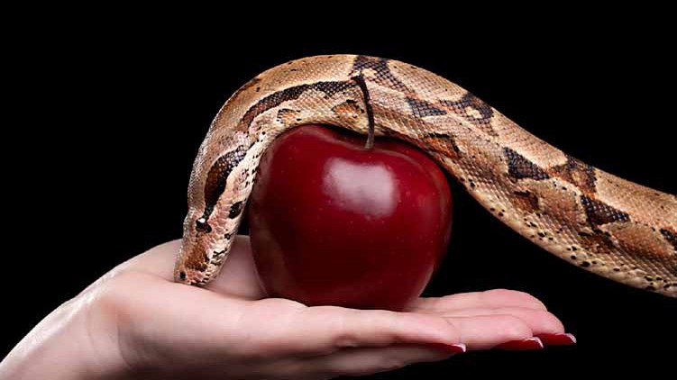 Κουίζ: Ποια… θανάσιμη αμαρτία ταιριάζει στον χαρακτήρα σου;