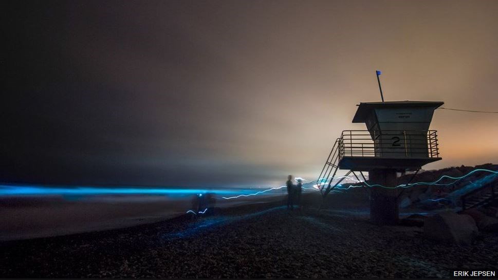 Εκπληκτικό θαύμα της φύσης – Το φαινόμενο της βιοφωταύγειας που δίνει μια μπλε λάμψη στην Καλιφόρνια – Εντυπωσιακές ΦΩΤΟ