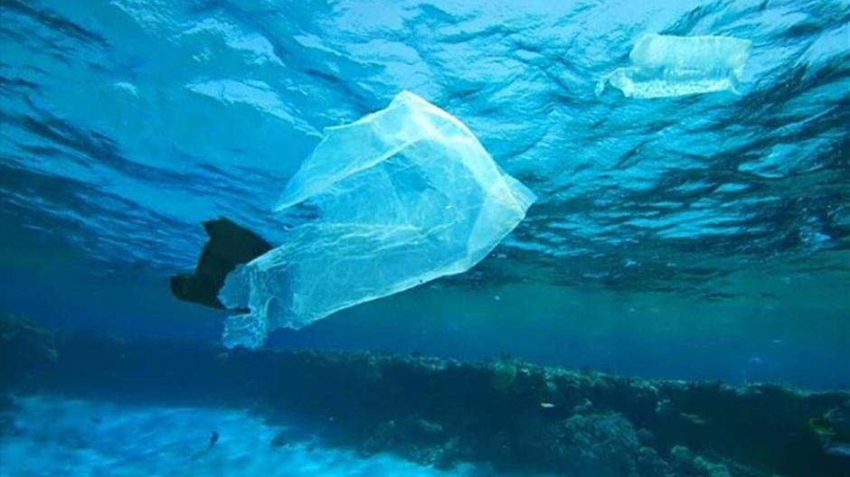 Εφιάλτης για το περιβάλλον – Πλαστική σακούλα βρέθηκε στο βαθύτερο σημείο των ωκεανών