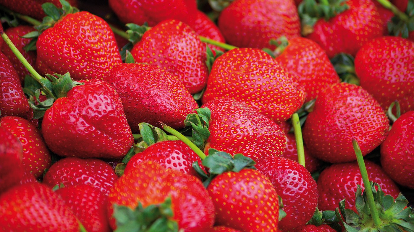 Δεσμεύτηκε 1,5 τόνος φράουλας  στον Πειραιά