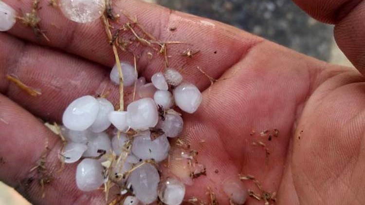 Ο καιρός τρελάθηκε – Ισχυρή χαλαζόπτωση έπληξε χωριά του Κιλελέρ – ΒΙΝΤΕΟ