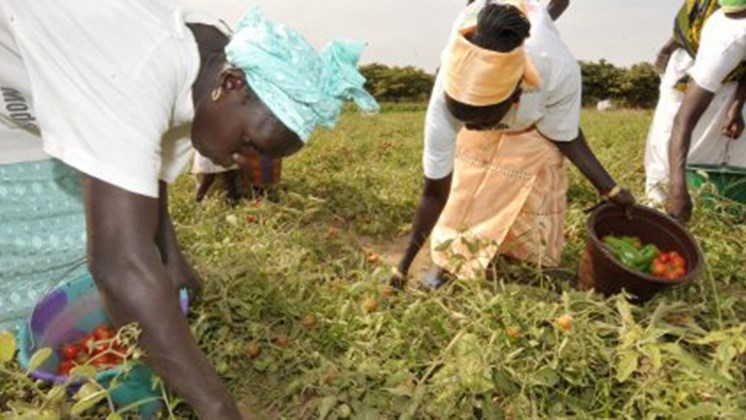 Αυτές είναι οι πιο γενναιόδωρες χώρες του κόσμου – ΦΩΤΟ