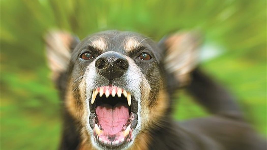 Αγοράκι στο Αγρίνιο σώθηκε την τελευταία στιγμή από φόλα