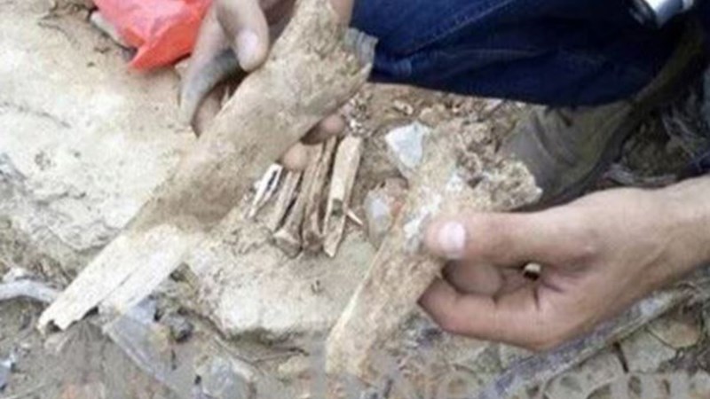 Βρήκαν ανθρώπινο σκελετό σε εκδρομή σε νησίδα στα Χανιά – ΦΩΤΟ