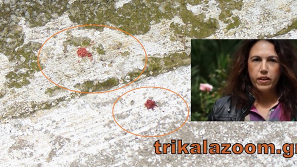 Αυτή είναι η μάνα 3 παιδιών που δολοφονήθηκε από τον άντρα της στα Τρίκαλα – Την έσφαξε μπροστά στα μάτια της κόρης τους – ΒΙΝΤΕΟ