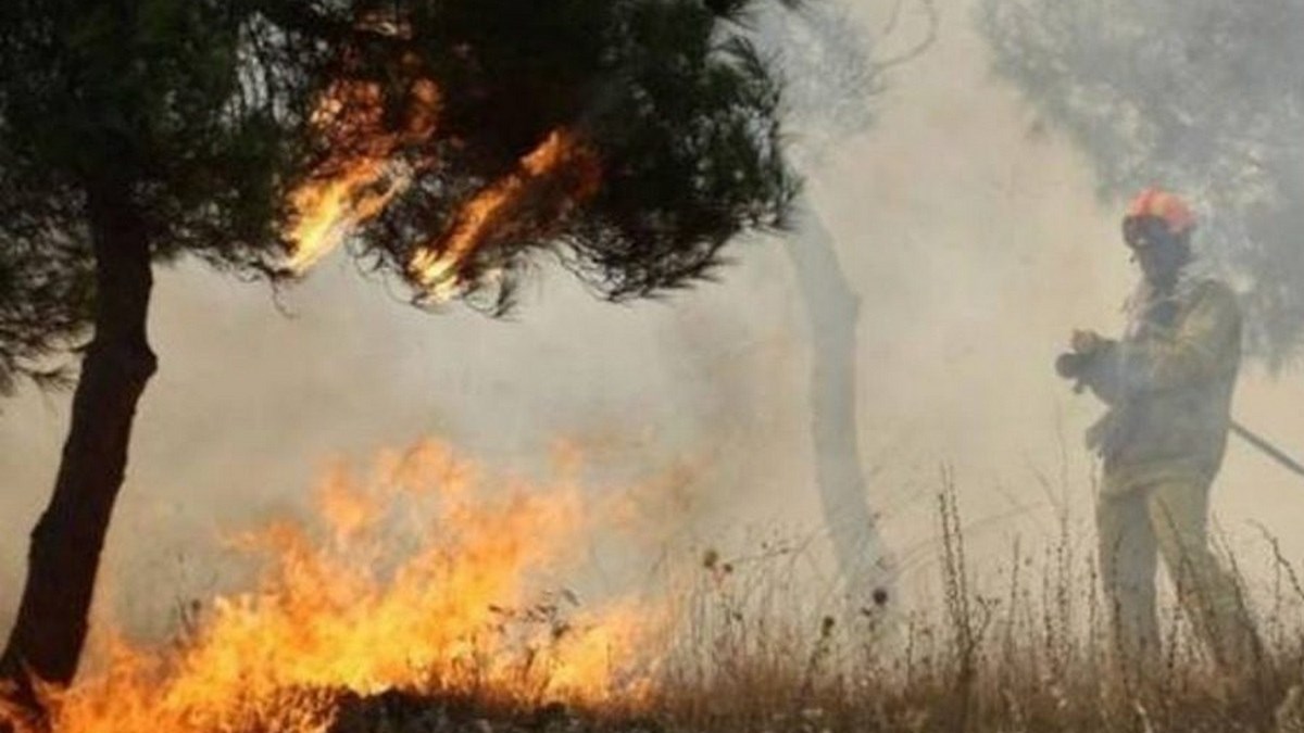 Υπό έλεγχο η πυρκαγιά στην Κύμη