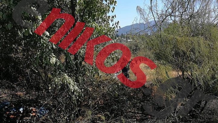 Τραυματίστηκε πυροσβέστης στη φωτιά στο άλσος Συγγρού – Νέες ΦΩΤΟ αναγνώστη από το σημείο