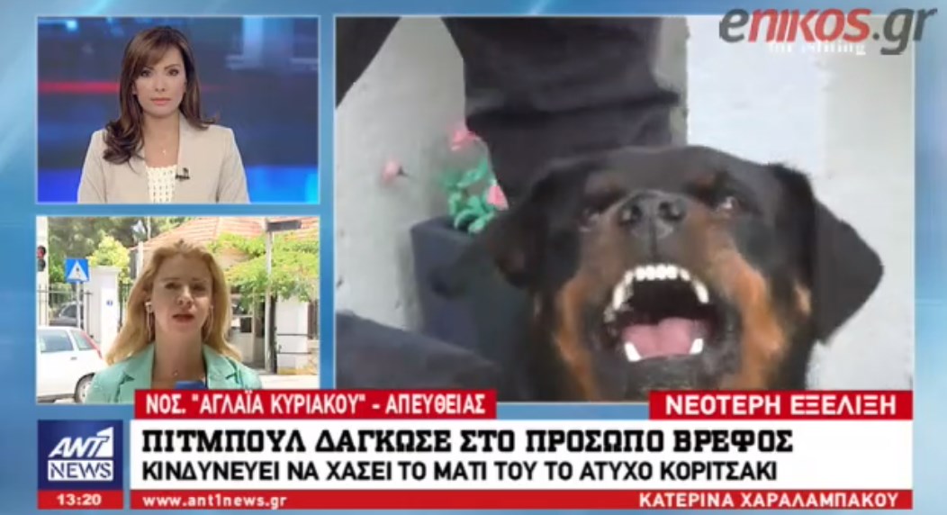 Στο χειρουργείο το βρέφος που δέχθηκε επίθεση από πιτμπουλ – ΒΙΝΤΕΟ