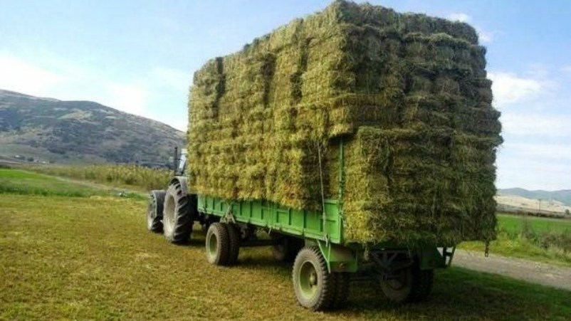 Ανείπωτη τραγωδία στη Θεσσαλονίκη: Μπάλες τριφυλλιού έπεσαν από φορτηγό και σκότωσαν γυναίκα