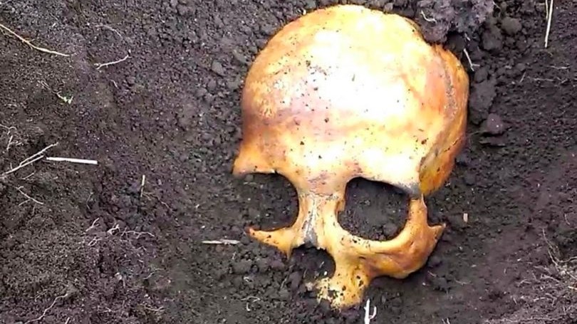 Φύτευε πατάτες και βρήκε ένα κρανίο – Η αποκάλυψη της συζύγου του τον έκανε να ανατριχιάσει – ΦΩΤΟ