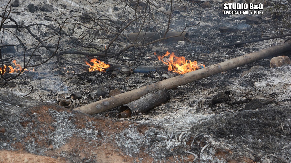 Πυρκαγιά και στην Αργολίδα – ΦΩΤΟ – ΒΙΝΤΕΟ