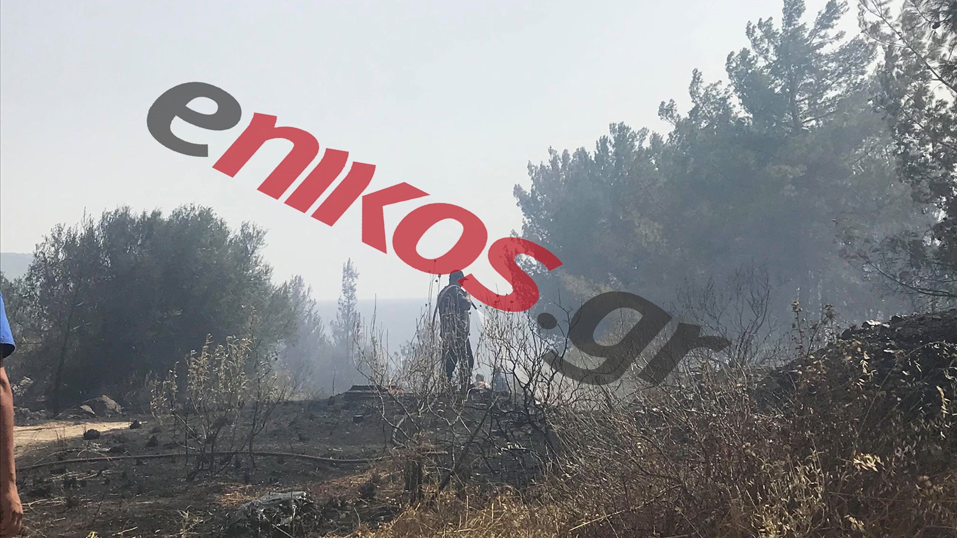 Συνεχίζεται η μάχη της πυροσβεστικής στην πυρκαγιά της Πύλου – ΦΩΤΟ αναγνώστη