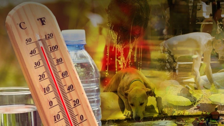 Στο “κόκκινο” ο υδράργυρος – Η πρόγνωση του καιρού