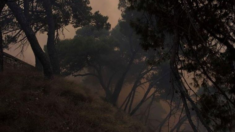 Υπό μερικό έλεγχο η πυρκαγιά στην Πύλο – ΤΩΡΑ