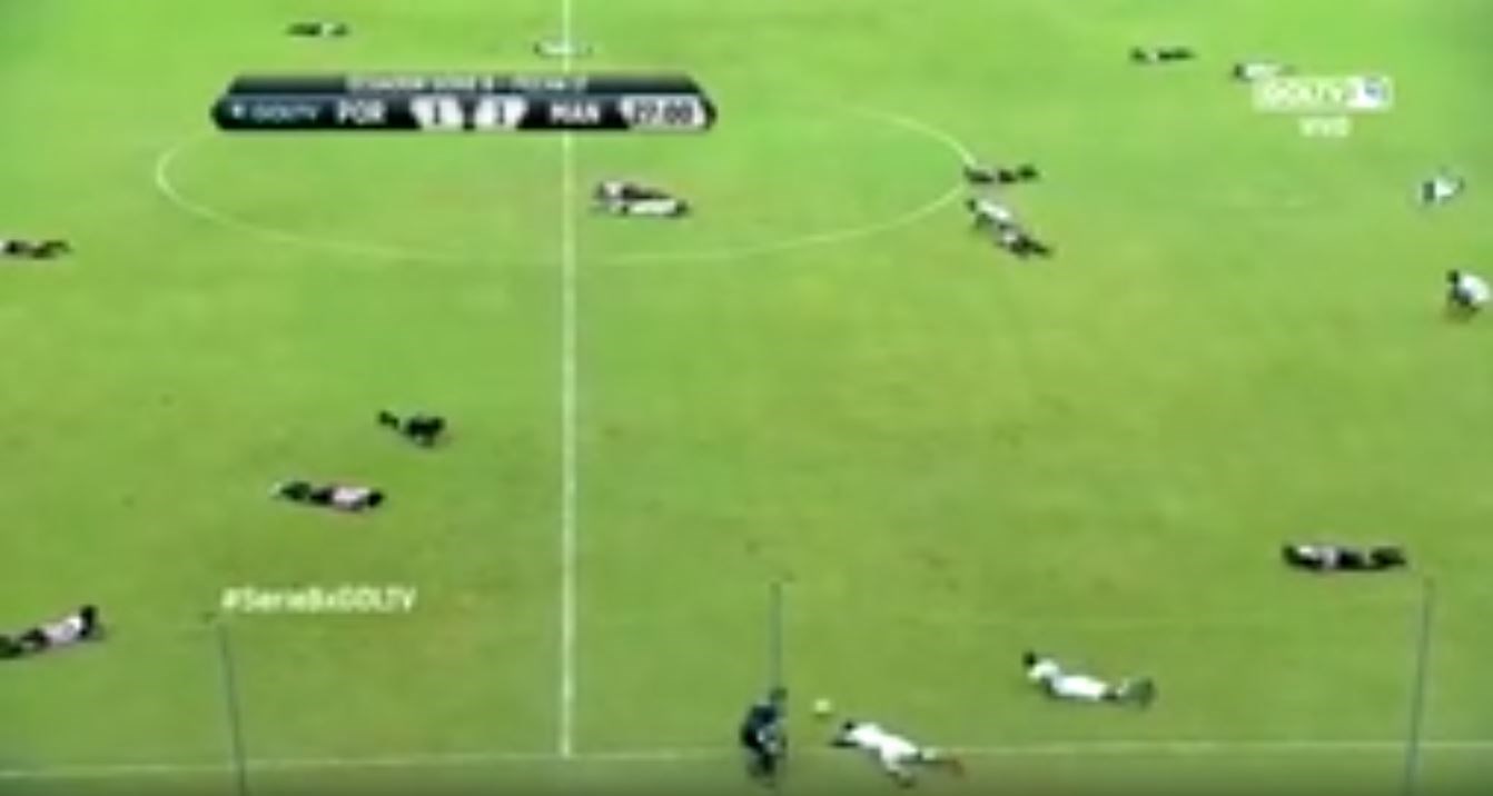 Παίκτες δέχθηκαν επίθεση από… μέλισσες την ώρα του αγώνα – ΒΙΝΤΕΟ