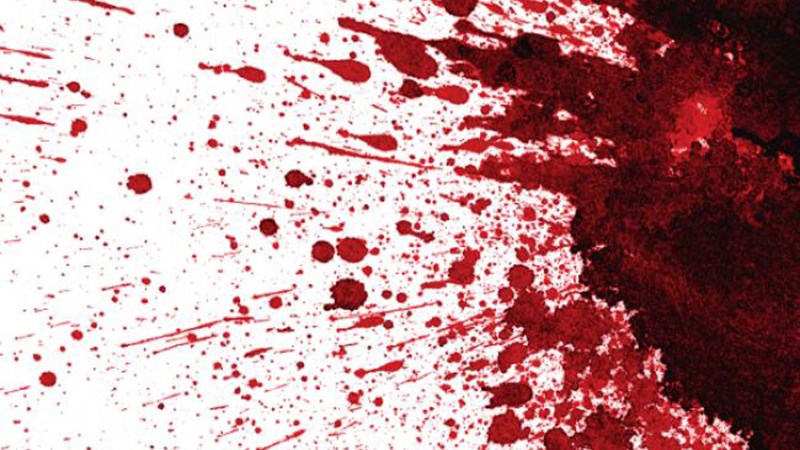 Θρίλερ – Γυναίκα βρέθηκε νεκρή σε λίμνη αίματος στην Λάρισα – Ο χωριανός που της πήγαινε το ψωμί πήρε χαμπάρι ότι κάτι δεν πάει καλά