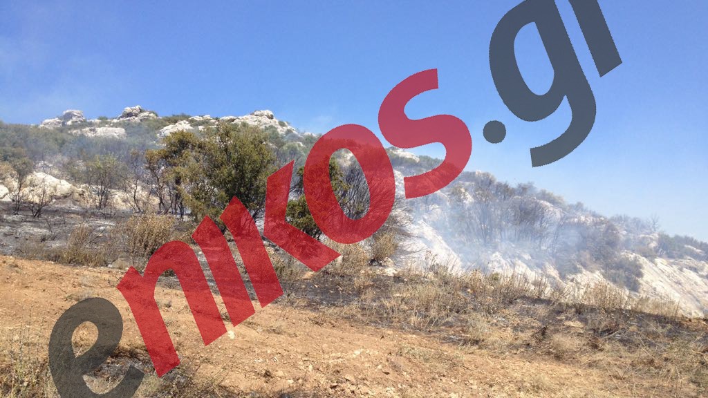 Οι πρώτες εικόνες από την μεγάλη φωτιά στην Ασωπία Βοιωτίας – ΦΩΤΟ -ΒΙΝΤΕΟ Αναγνώστη