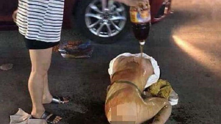 Εκδικήθηκε για την απιστία – Έγδυσε και έλουσε με σκόνη τσίλι και καυτερή σάλτσα την ερωμένη του άντρα της – ΒΙΝΤΕΟ