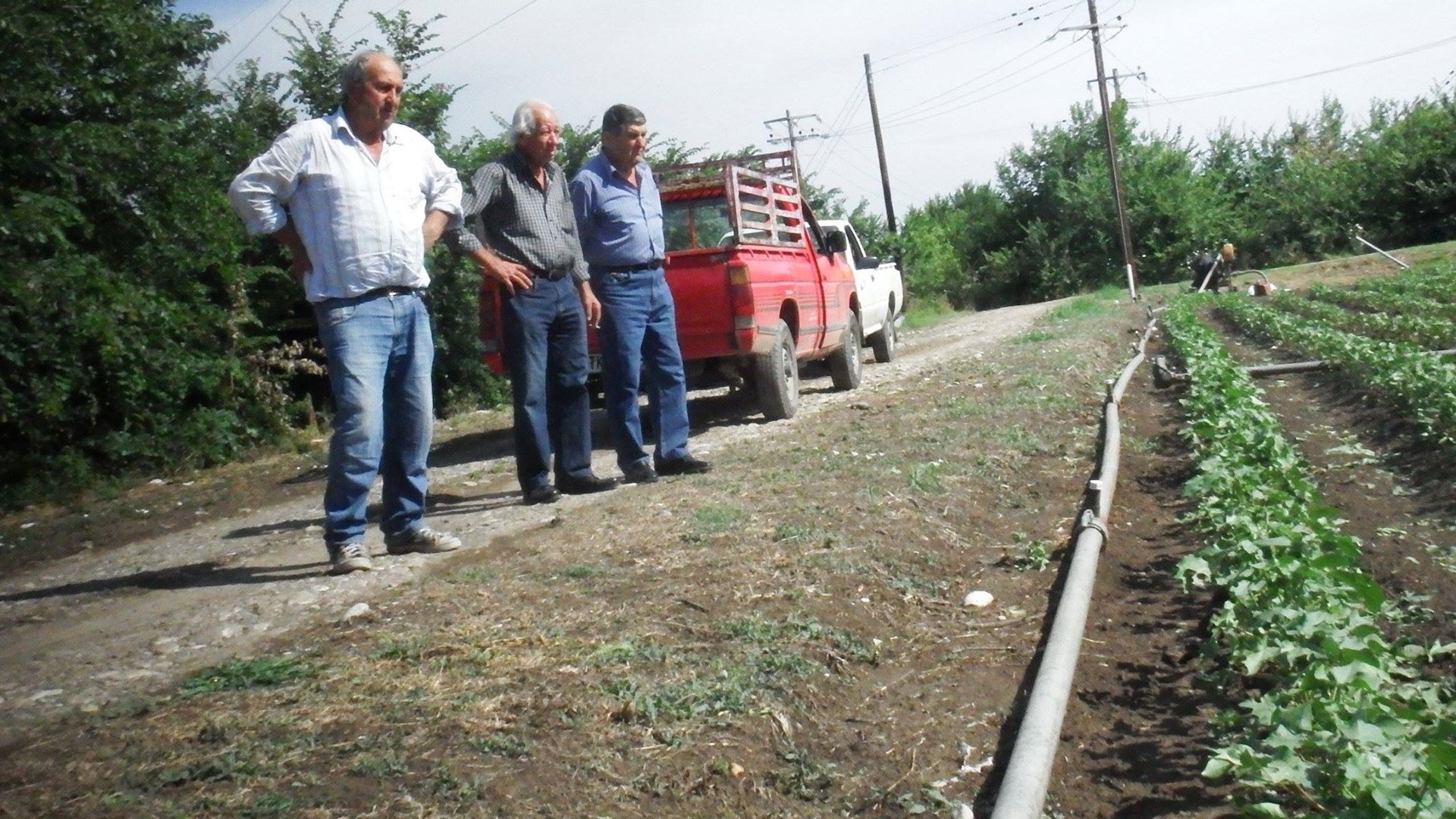 Μεγάλες καταστροφές σε χιλιάδες στρέμματα καλλιεργειών από τη χαλαζόπτωση- ΒΙΝΤΕΟ