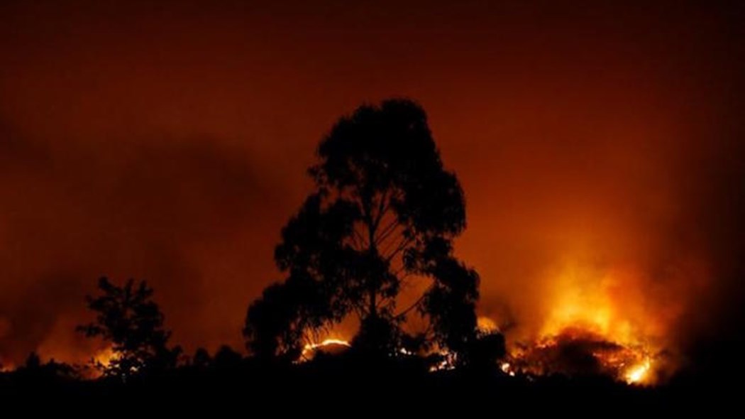 Πυρκαγιά στην Τζια – ΤΩΡΑ