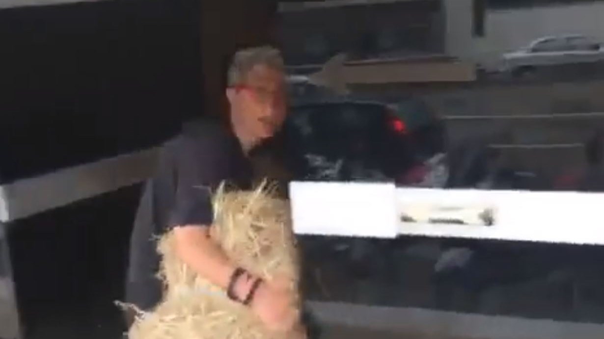 Η Αυγή Βουτσινά “ξαναχτύπησε” – Μετά την κότα στο Μαξίμου…έριξε σανό στα γραφεία των ΑΝΕΛ – ΒΙΝΤΕΟ