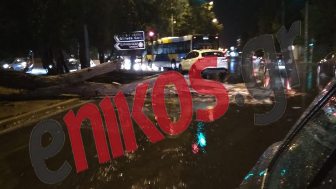 Τεράστιο δέντρο έπεσε από την καταιγίδα και μπλόκαρε την κυκλοφορία στην Γλυφάδα – ΦΩΤΟ αναγνώστη