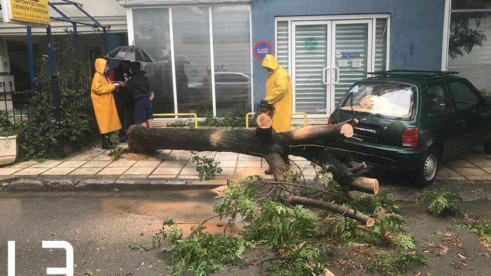 H “Νεφέλη” σαρώνει την Κεντρική Μακεδονία και…ξεριζώνει δέντρα – ΦΩΤΟ – ΒΙΝΤΕΟ