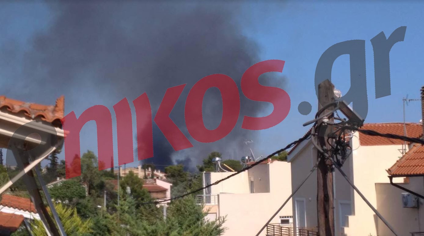 Συναγερμός στον Γέρακα – Πυκνοί καπνοί πνίγουν την περιοχή – ΦΩΤΟ – ΒΙΝΤΕΟ αναγνώστη