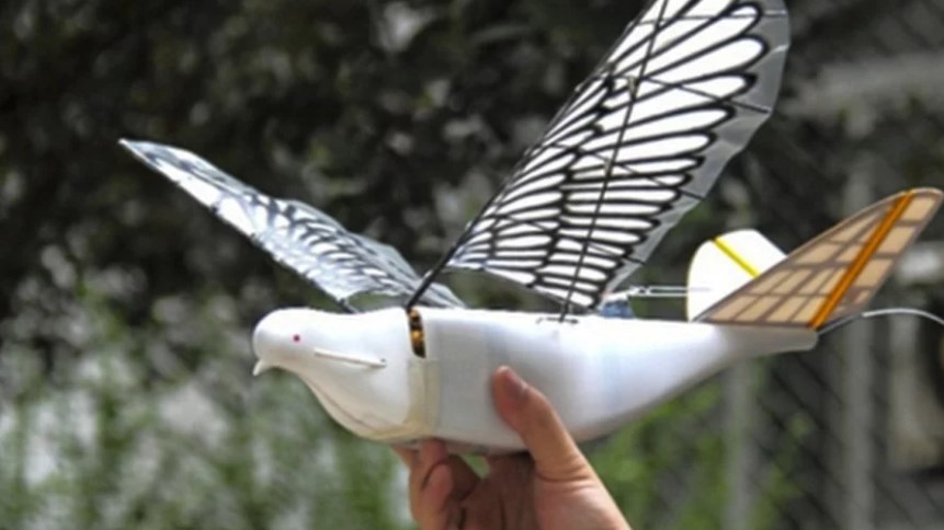 Drones – περιστέρια αναλαμβάνουν υπηρεσία στην Κίνα – Τα πουλιά κατάσκοποι παρακολουθούν τους πολίτες – ΦΩΤΟ – ΒΙΝΤΕΟ