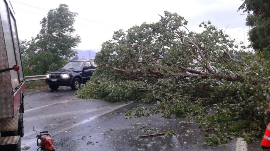 Απογευματινή μπόρα με χαλάζι «χτύπησε» τα Φάρσαλα – ΦΩΤΟ