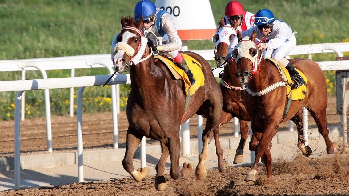 Έρχονται το 72ο Ελληνικό Ντέρμπι και το Κύπελλο Λευκού Πύργου στον ιππόδρομο Αθηνών – Πλούσιο θέαμα και αγωνιστική δράση το Σάββατο στο Μαρκόπουλο