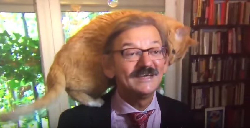 Viral βίντεο: Γάτα σκαρφάλωσε στο κεφάλι καθηγητή που έδινε συνέντευξη – Συνέχισε ακάθεκτος να αναλύει τις πολιτικές εξελίξεις