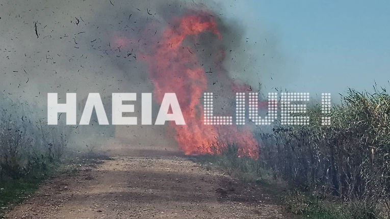 Οι πρώτες εικόνες από τη μεγάλη φωτιά που ξέσπασε στην Ηλεία και απειλεί οικισμό- ΤΩΡΑ