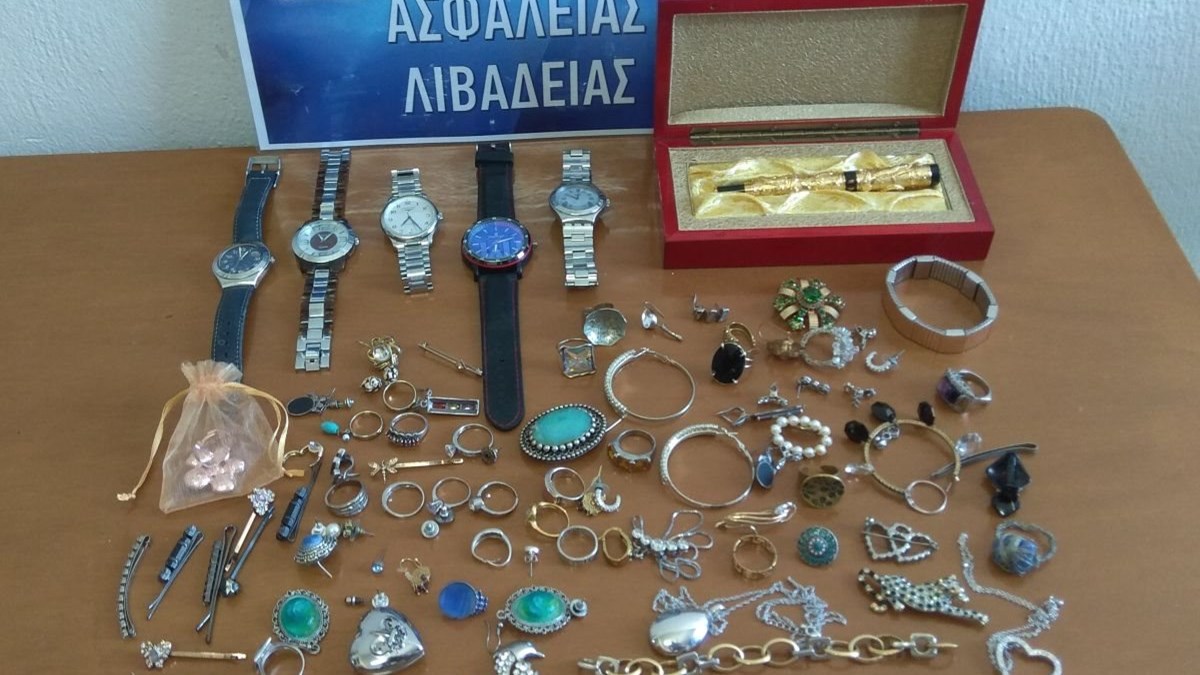 Πρωταθλητής του τζούντο σε σπείρα διαρρηκτών – Πού και πώς δρούσε