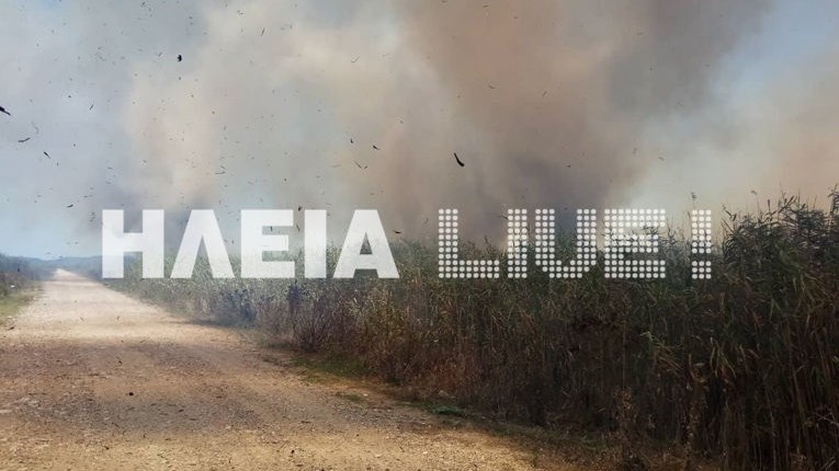 Υπό μερικό έλεγχο η φωτιά στον Πύργο