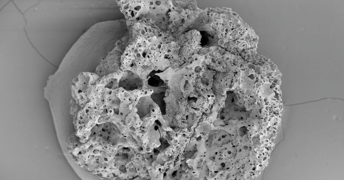 Αποκαλύφθηκε η συνταγή του αρχαιότερου ψωμιού στον κόσμο