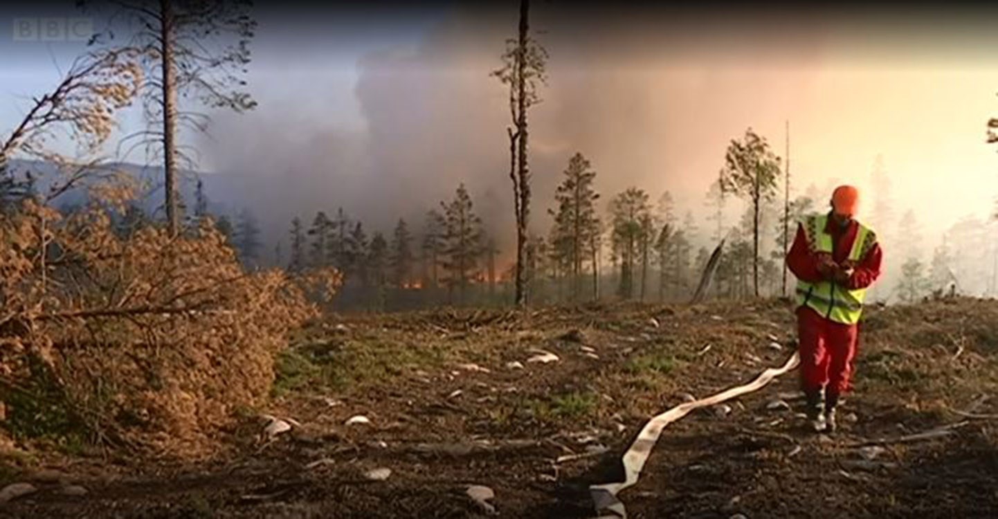Στο έλεος των πυρκαγιών η Σουηδία – Ζήτησε βοήθεια από την Ευρωπαϊκή Ένωση