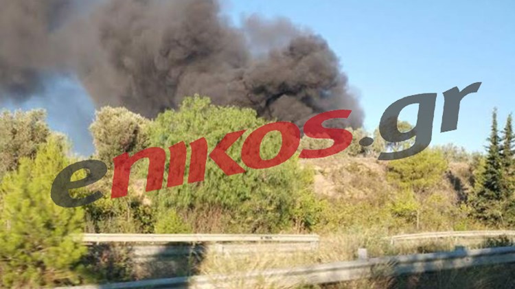 Οι πρώτες εικόνες από τη νέα φωτιά στο Μενίδι – ΦΩΤΟ αναγνώστη