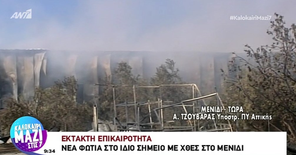 Υπό μερικό έλεγχο η φωτιά στο Μενίδι – ΒΙΝΤΕΟ